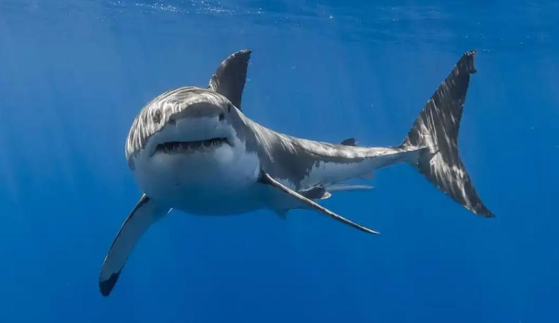 浙江恒利闹钟智能科技有限公司轮播图2